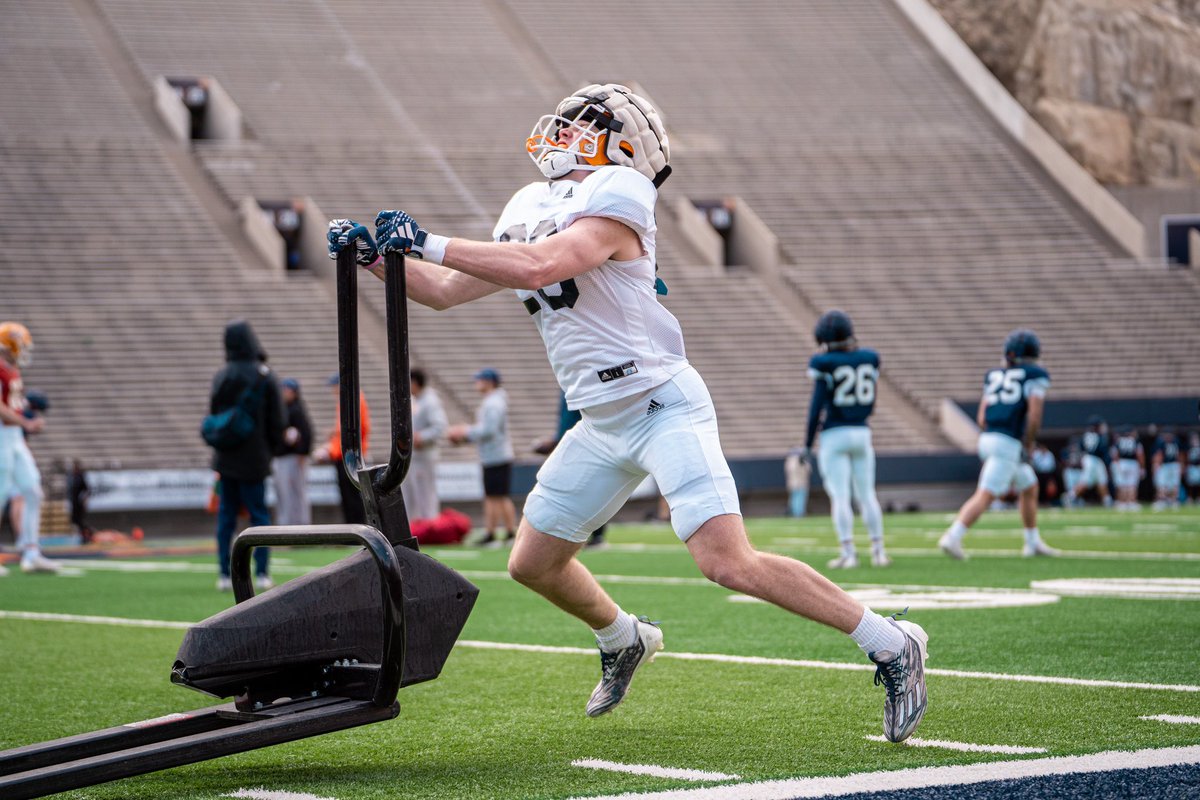 TRACE MEADOWS tweet media