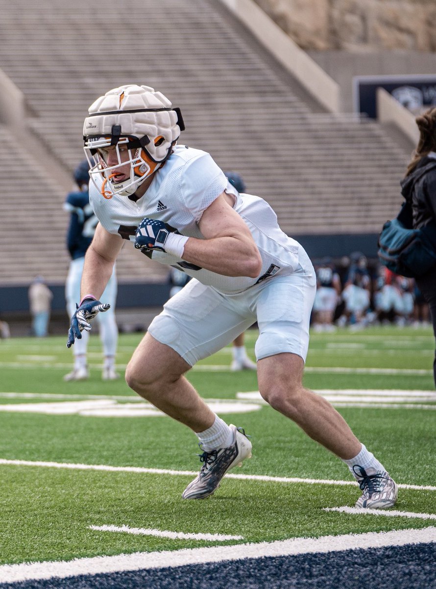 TRACE MEADOWS tweet media