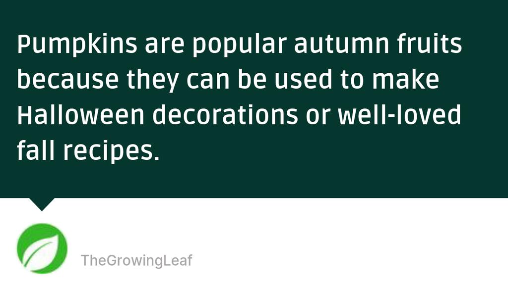 LeafGrowing's tweet image. Sticky flesh due to fruit rot can be caused by pests or microbial diseases, making your harvest inedible.

Read the full article: Why Are Your Pumpkins Sticky? 8 Common Reasons
▸ lttr.ai/AQ6Nx

#StickyPumpkins #PumpkinProblems #GardeningTips #PumpkinCare