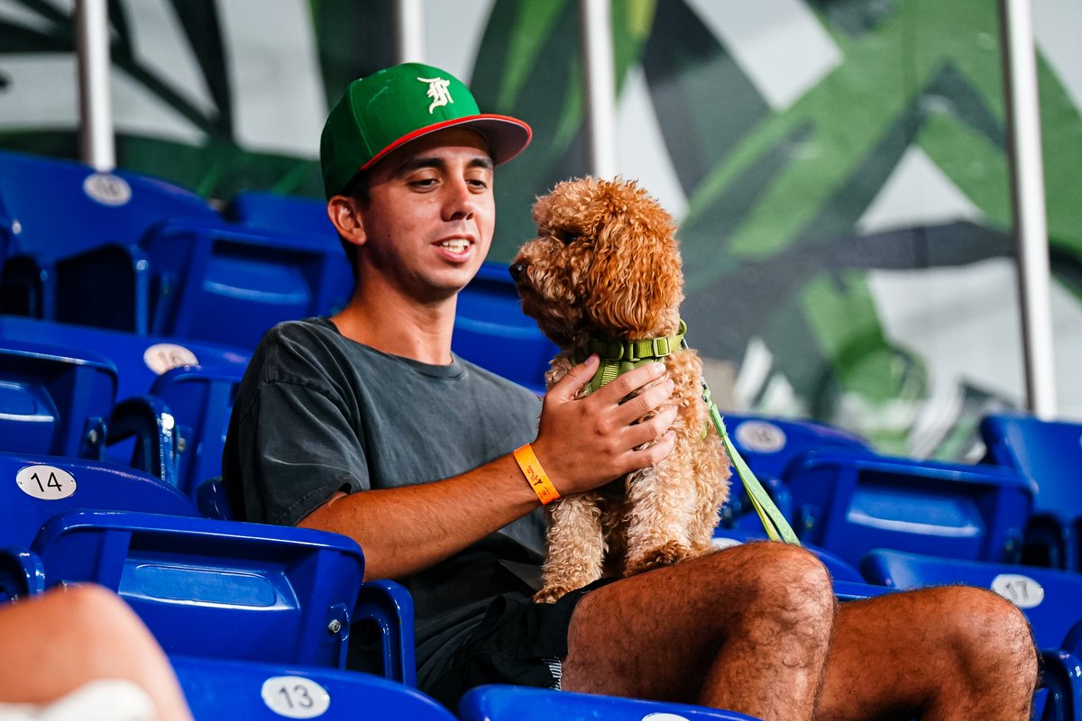 Having a 'pawsome' time at Bark at the Park. 🐶⚾️ 𝘕𝘦𝘹𝘵 𝘰𝘯𝘦 𝘪𝘴 𝘰𝘯 𝘈𝘱𝘳𝘪𝘭 15𝘵𝘩. 𝘎𝘦𝘵 𝘺𝘰𝘶𝘳 𝘵𝘪𝘤𝘬𝘦𝘵𝘴 𝘩𝘦𝘳𝘦: marlins.com/offers