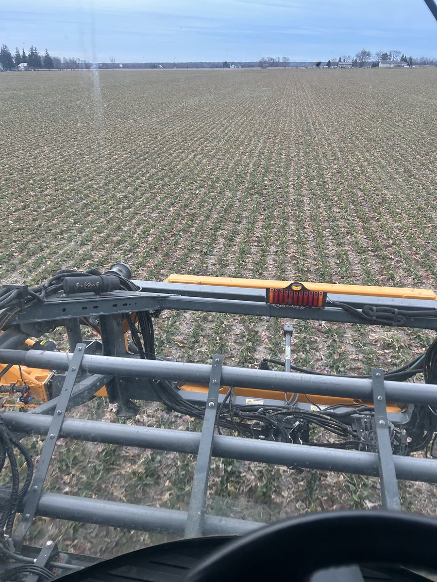 Waking up some winter canola today. Looks like the winter wasn’t too hard on it. #grow24 has started