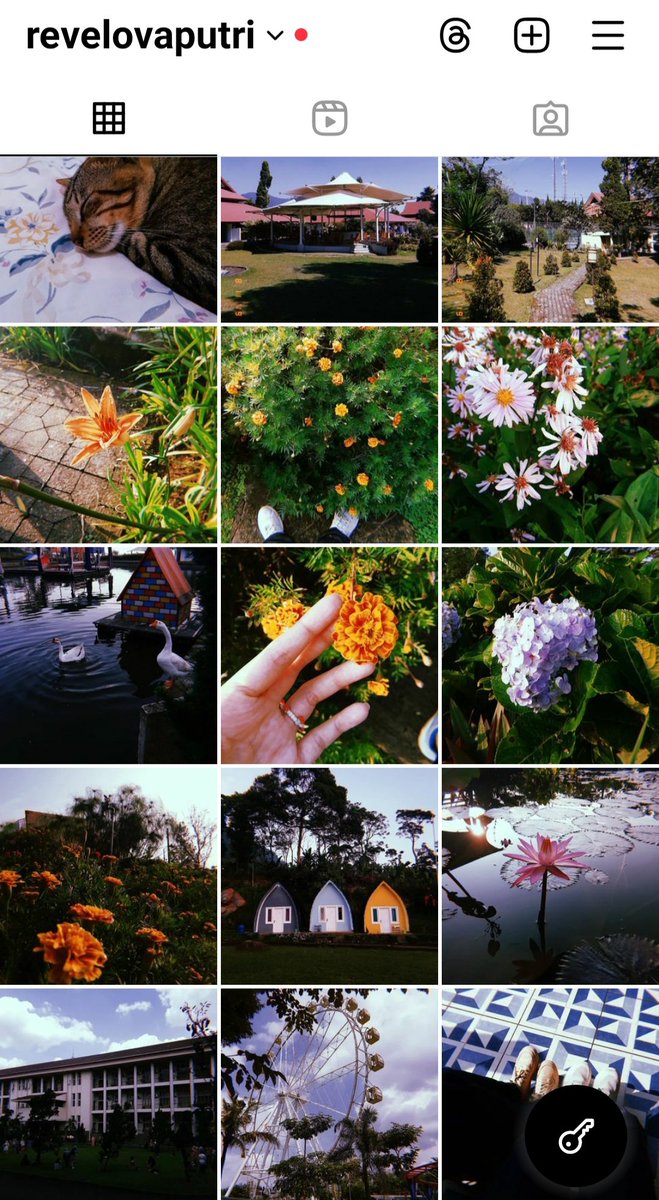 🎐⋆。˚ 𓆝⋆。˚🎐 tweet media