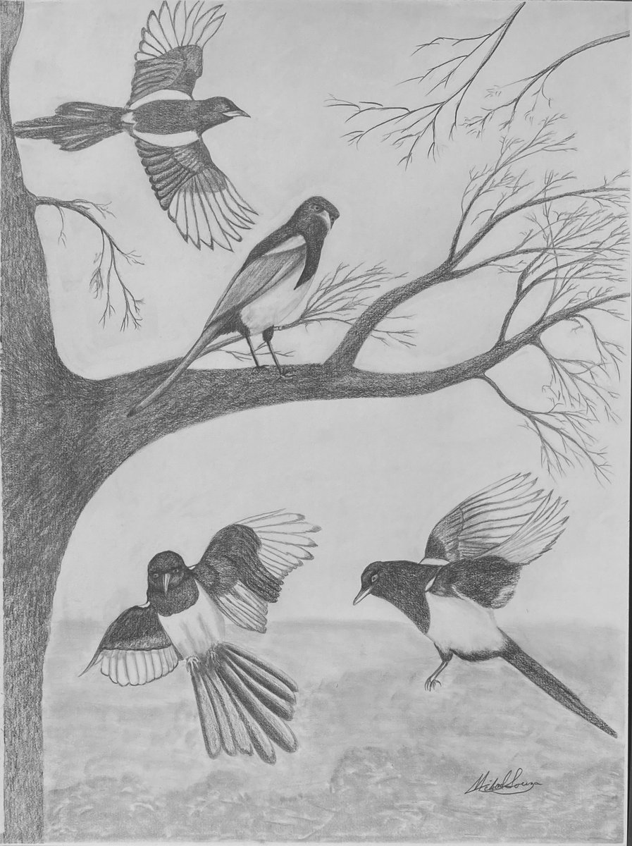 Bounty Hunters
Once upon a time, long-long ago, in the small town of Gustine, CA a bounty was being paid for each Magpie head you could deliver to the then current game warden. I don’t remember how much the bounty was, could not have been much, for the simple reason, gas was .25