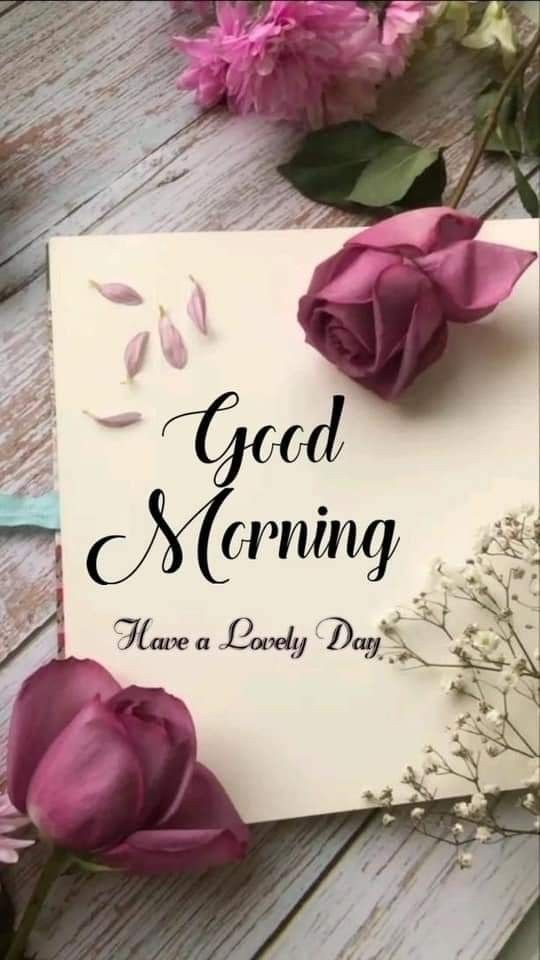 ASSALAM O ALAIKUM
SUBHA BAKHAIR