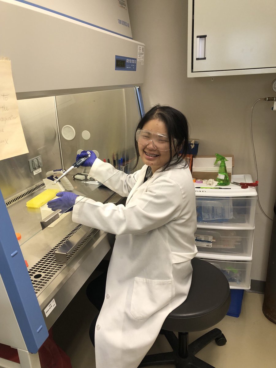 Alice Lu, a budding biomedical undergraduate researcher in Mahasin Osman lab tackles breast cancer! Finding a novel drug target!