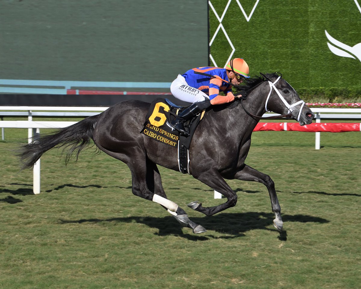 artilespascualf's tweet photo. #1Apr Cairo Consort (15-5 $644,792)
Jockey: Irad Ortiz, Jr.
Trainer: Todd Pletcher
Sand Springs Stakes $150,000 • Turf
Saturday, March 30, 2024 #GulfstreamPark #ChampionshipMeet
📸 @coglianesephoto / Lauren King / @RyanFromChicago https://t.co/3MTraU2MXt