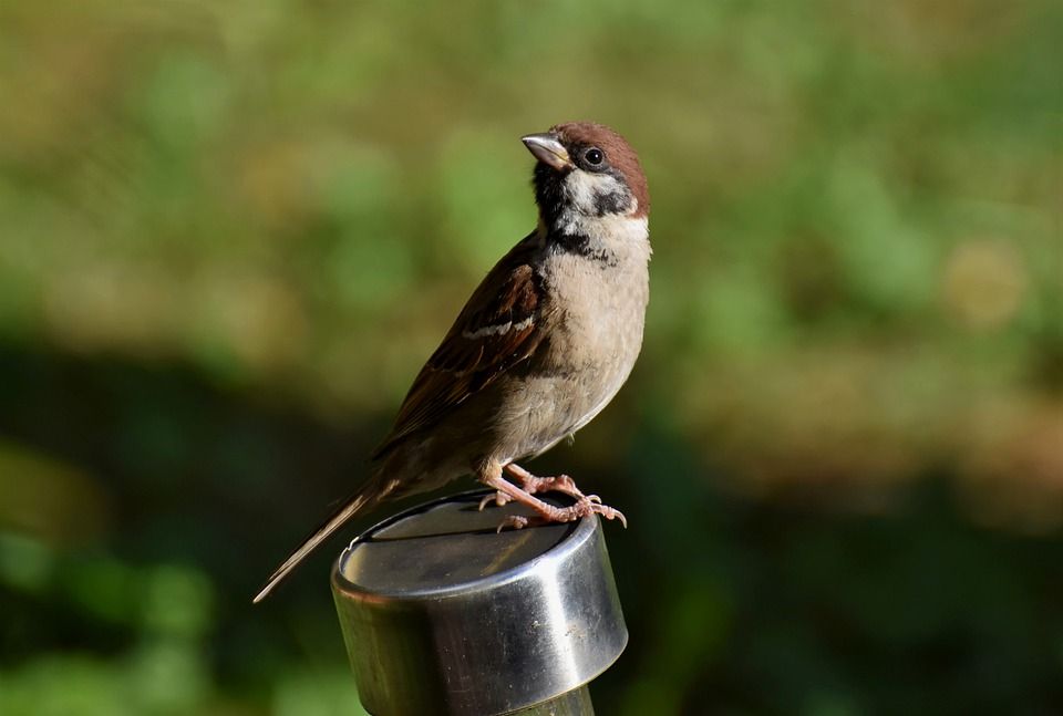 Can Context Analysis Help Extract Meaningful Insights?

towardsdatascience.com/can-context-an…

#datascience #machinelearning #ai #bigdata #artificialintelligence #deeplearning #tech #innovation #technology #coding #data #storytelling #datanarrative