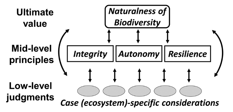 New on global conservation science: What is naturalness: composition of biodiversity, freedom from human pressures or ecosystem resilience? Accommodating all approaches is needed in conservation case-by-case. Saltz et al. @ConBiology conbio.onlinelibrary.wiley.com/doi/10.1111/co…