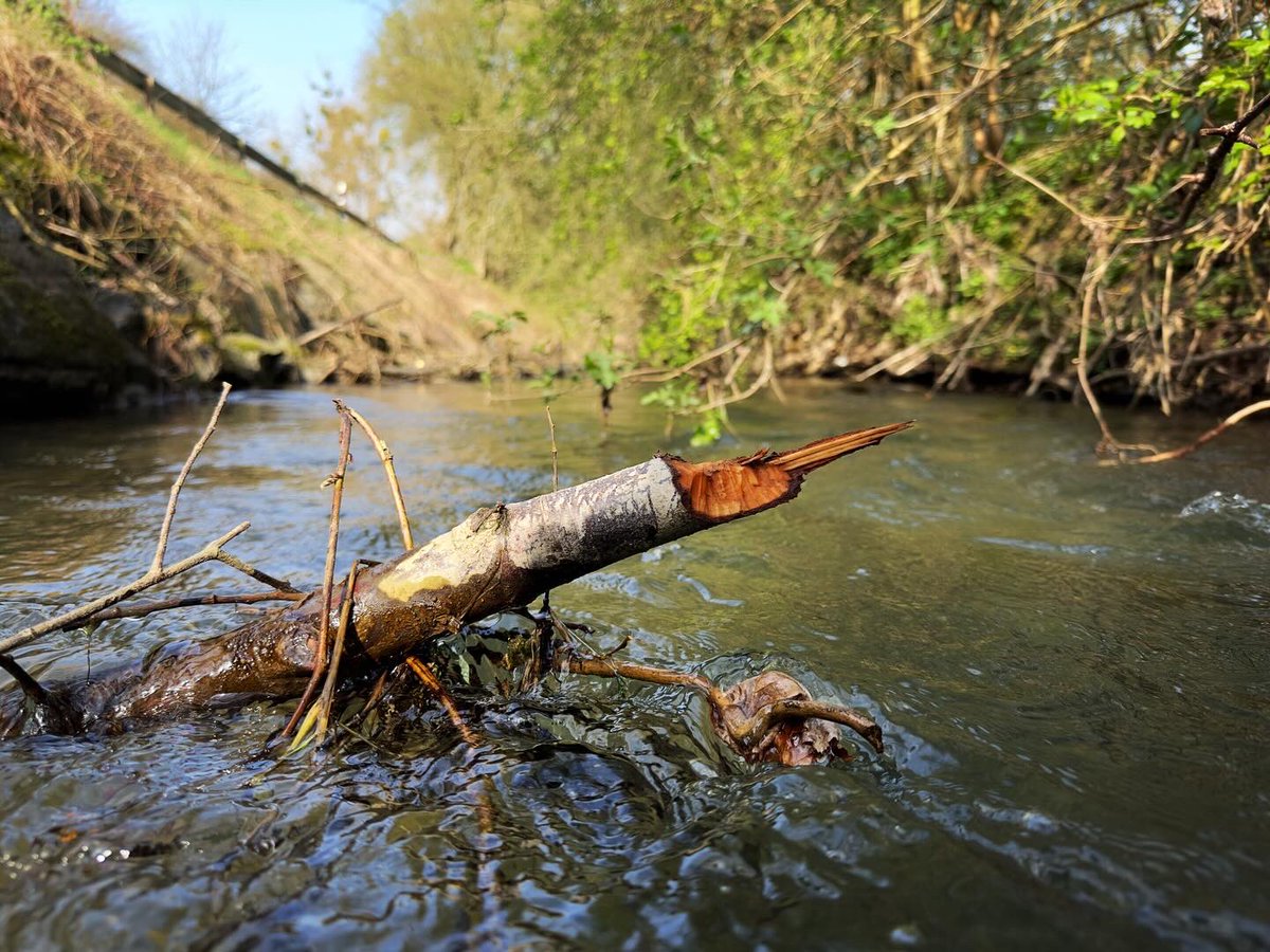 Ralph Eikenberg tweet media