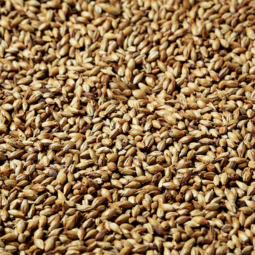 Biscuit provides strong, sweet malt flavours – like the obvious biscuit, but also bread – and sufficient enzymatic power. Until the end of April we are offering 10% DISCOUNT on Black Swaen Biscuit.
#TheSwaen #MakingMaltACraft #Malting #Malt #Malthouse #Brewery #FamilyBusiness