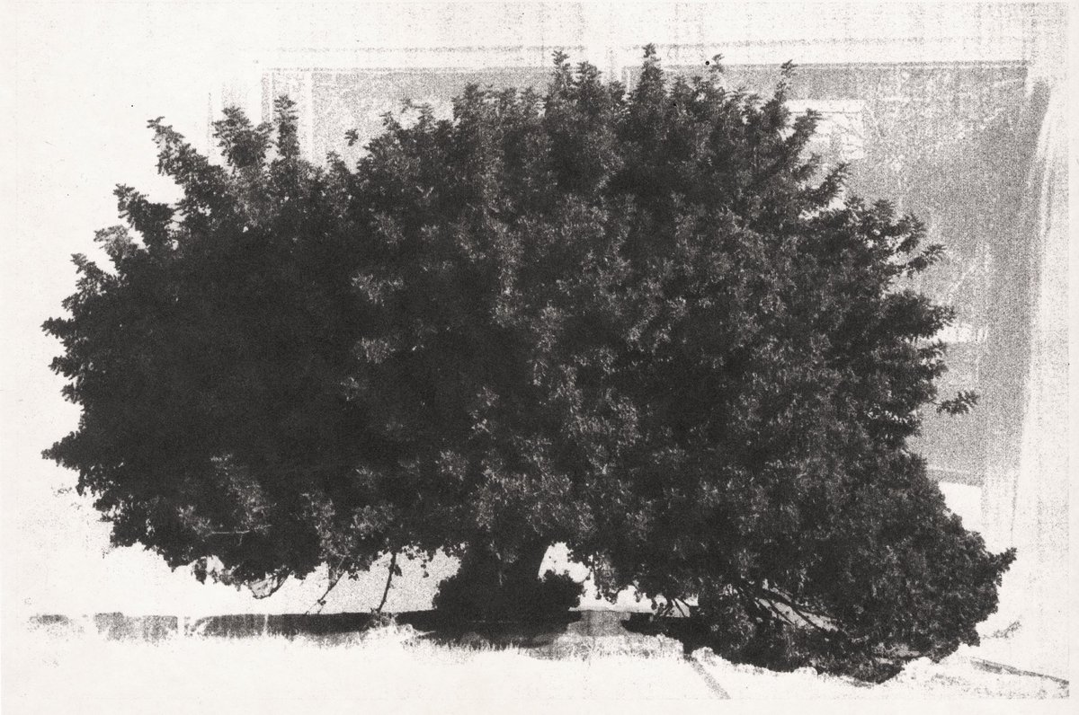 Good Morning🤍
~
'shelter'
2/8 left