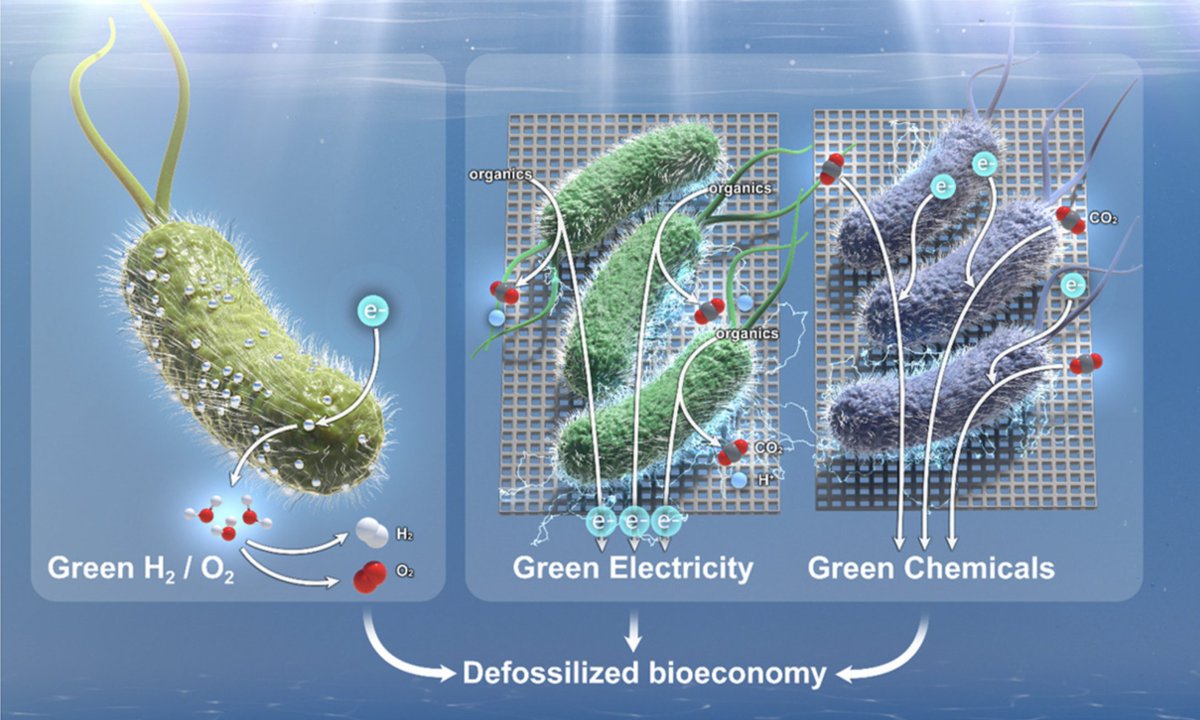 Nature inspired catalysts: a review on electroactive microorganism-based catalysts for electrochemical applications doi.org/10.1016/j.elec…