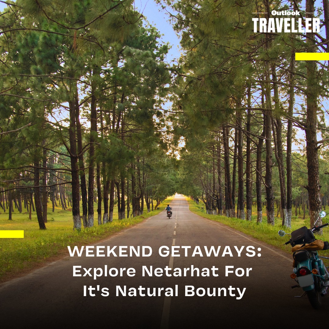 oltraveller's tweet photo. #OTWeekendGetaways | A secret refuge in the heart of Jharkhand, Netarhat, was once the summer getaway of the Britishers who nicknamed it "Queen of Chhota Nagpur."
#OutlookTraveller #SummerEscape #OffbeatGetaway #LesserKnownDestinations
https://t.co/r0BBhY10xX https://t.co/wrcvpFHYU8