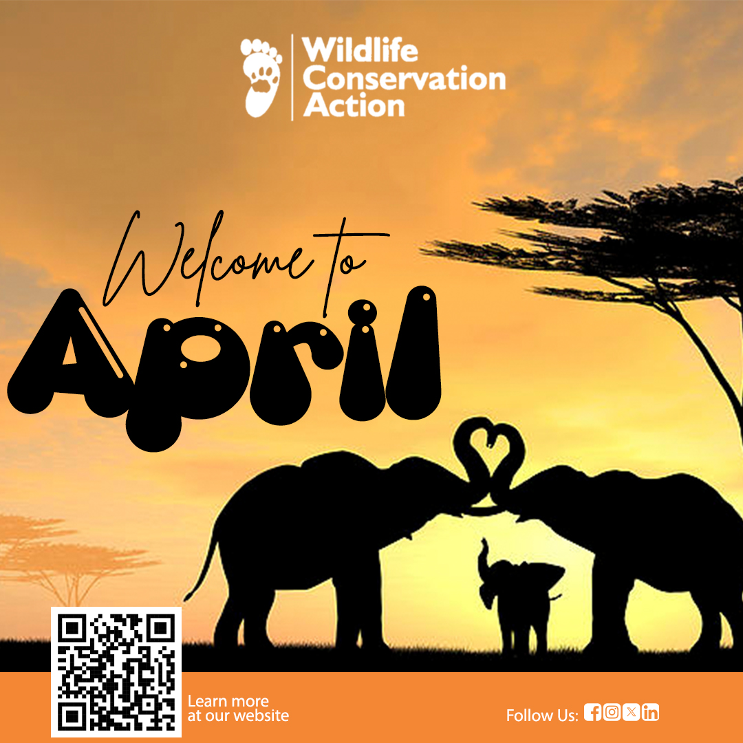 Wishing all wildlife conservationists a vibrant and inspiring new month filled with passion, dedication, and impactful actions for our precious planet and its inhabitants. Together, let's continue to protect and preserve our natural world! #HappyNewMonth #ConservationHeroes