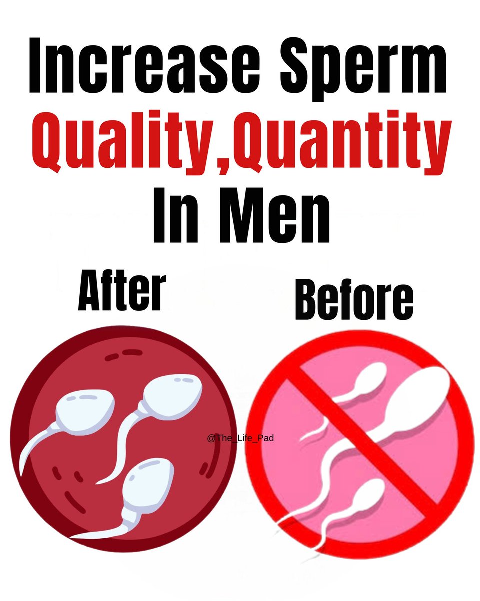 The_Life_Pad's tweet photo. Top 7 Male Infertility Exercises, Increase Sperm Count and Motility 💦 Men do this 👇

(number 05 is most important) https://t.co/Ycjwbxgnjp