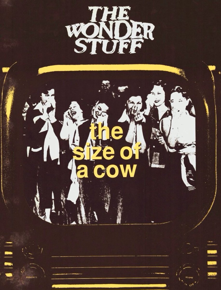 Released #OnThisDay in 1991 @thewonder_stuff ● The Size Of A Cow