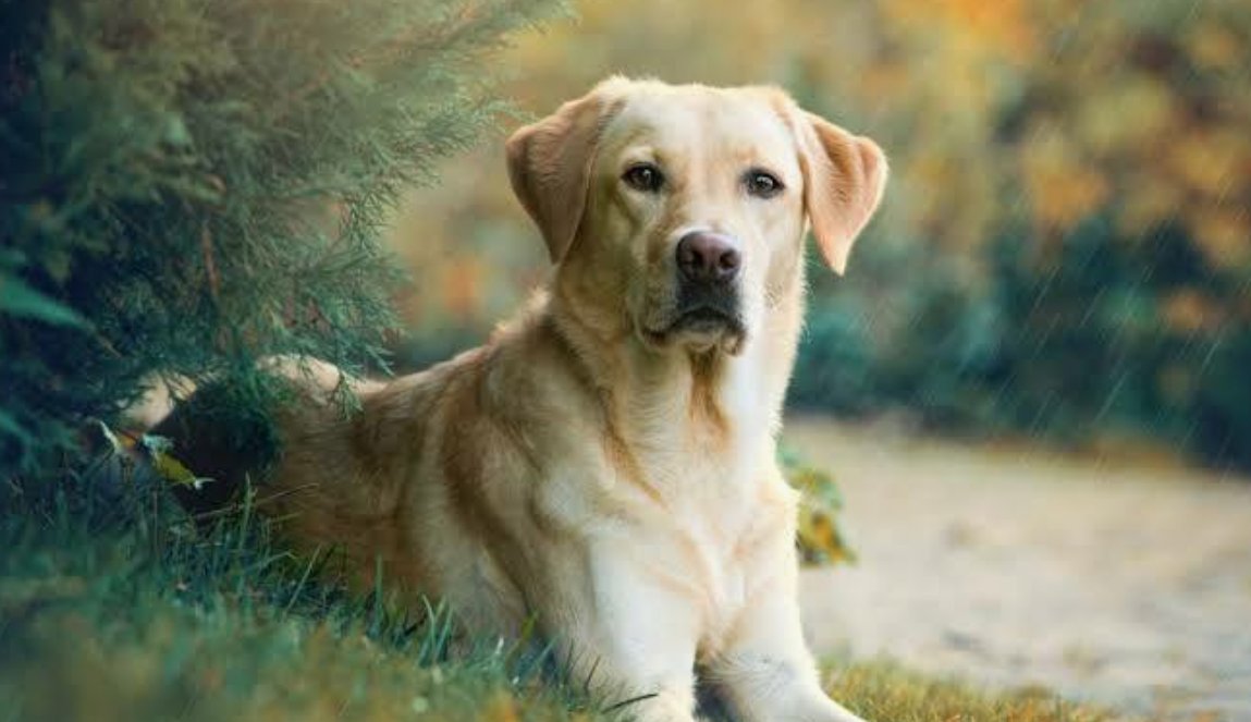 Eyla Castro (@eylacastro) on Twitter photo 