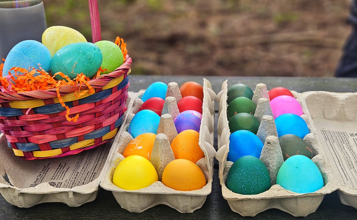 Have you been out rolling your eggs yet? @Amwallace_NI is on air at 7am with an hour of music and to chat about the tradition of egg rolling and egg hiding. Listen live or listen any time on @BBCSounds Music today from @IamCandiStaton @ABBA @thescript bbc.in/3vzhsV0