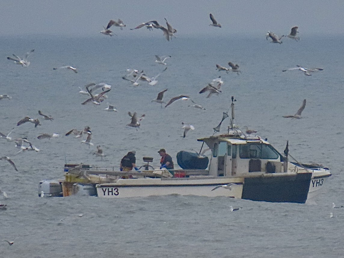 Goodbye Cromer and, thank you. #Cromer