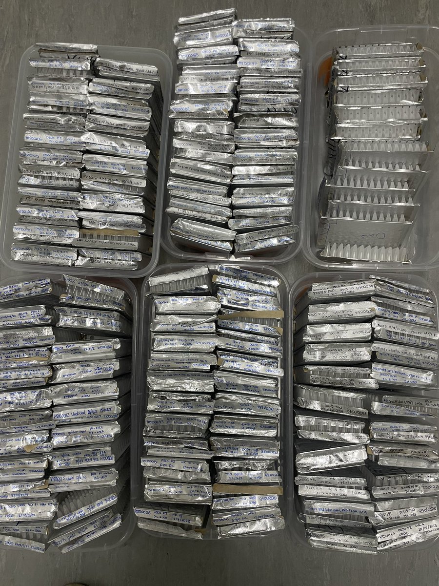 Mikaeylah Davidson @microbemik.bsky.social tweet media