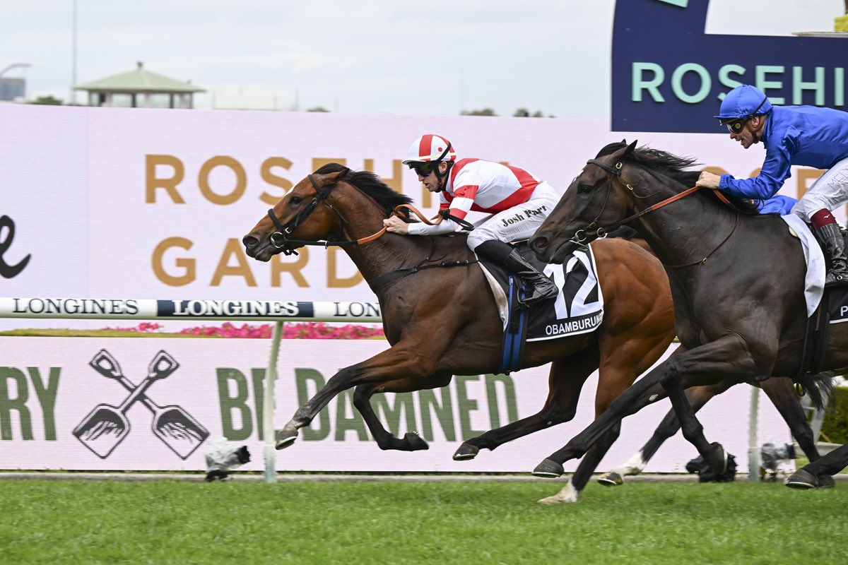 racing_nsw tweet picture