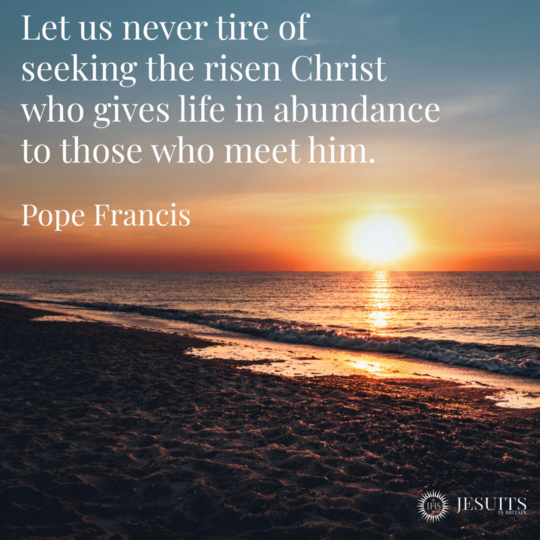 Let us never tire of seeking the risen Christ who gives life in abundance to those who meet him. - Pope Francis