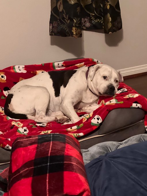 Mi Bella &hearts;️&hearts;️&hearts;️🤗 https://t.co/YVbXrDz2XS