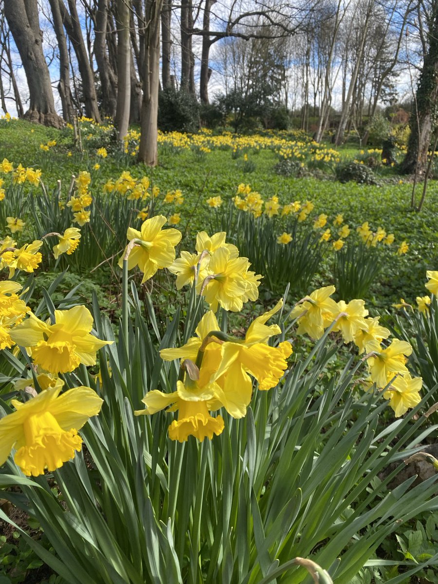 Wishing you a happy April from North Yorkshire 😊