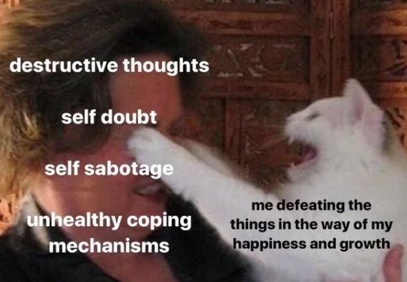 WholesomeMeme's tweet photo. https://t.co/0WjYlbdOUu