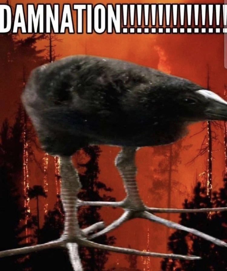 Personate tweet media