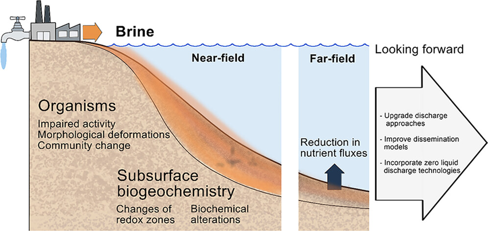 A review by @AntlerGilad and Edo Bar-Zeev comprehensively discusses the nexus and impacts of seawater reverse osmosis (#SWRO) #brinedischarge on marine #benthic fauna and flora. Read further in ES&T 👉 go.acs.org/8Ib