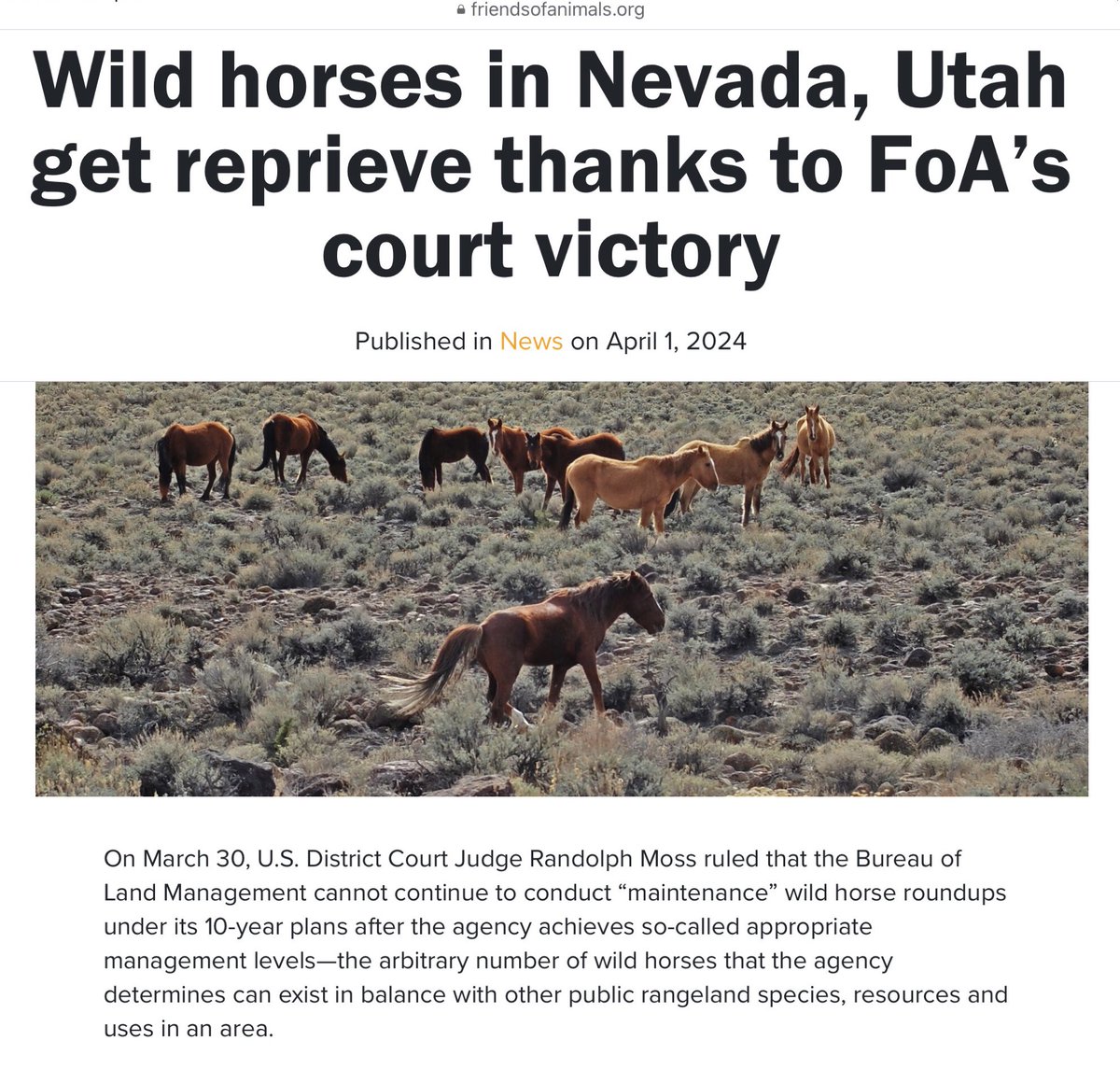 Bravo and many thanks to @FoAorg for this 👏🏼👏🏼👏🏼 friendsofanimals.org/wild-horses-in… If you don’t follow Friends of Animals, please do. They do amazing work. Thank you, @pferal ❤️