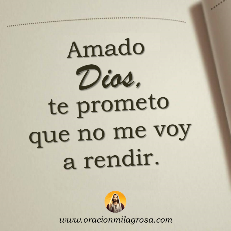 oracion_milagro's tweet photo. AMADO DIOS, no tengo ni idea de lo que está pasando en mi vida justo ahora, pero yo confío en ti. Sé que Tú eres bueno y que todo lo que estoy viviendo ahora es solo un capítulo necesario en la historia de bendición que Tú tienes para mí.

Continúa en: https://t.co/K6cAJToBW1