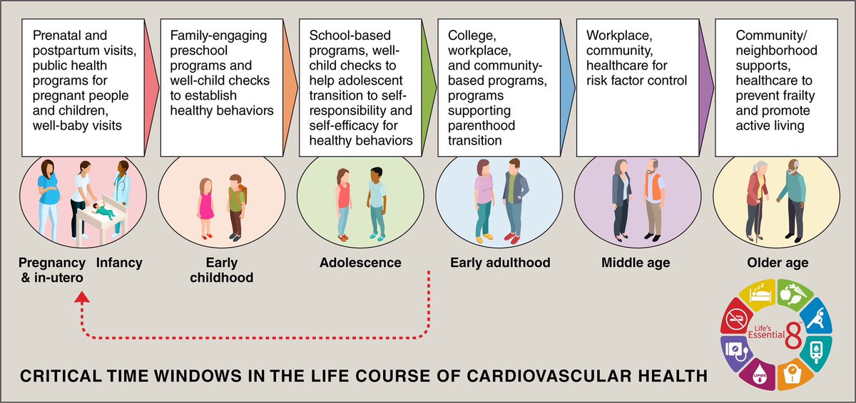 Steps towards preventing cardiovascular diseases should begin at a much younger age; Wonderfully depicted in this figure and aligning beautifully with our goal at @WYHFGlobal @WYHFIndia @dmljmd @chanders4 @GarimaVSharmaMD ahajournals.org/doi/10.1161/CI…