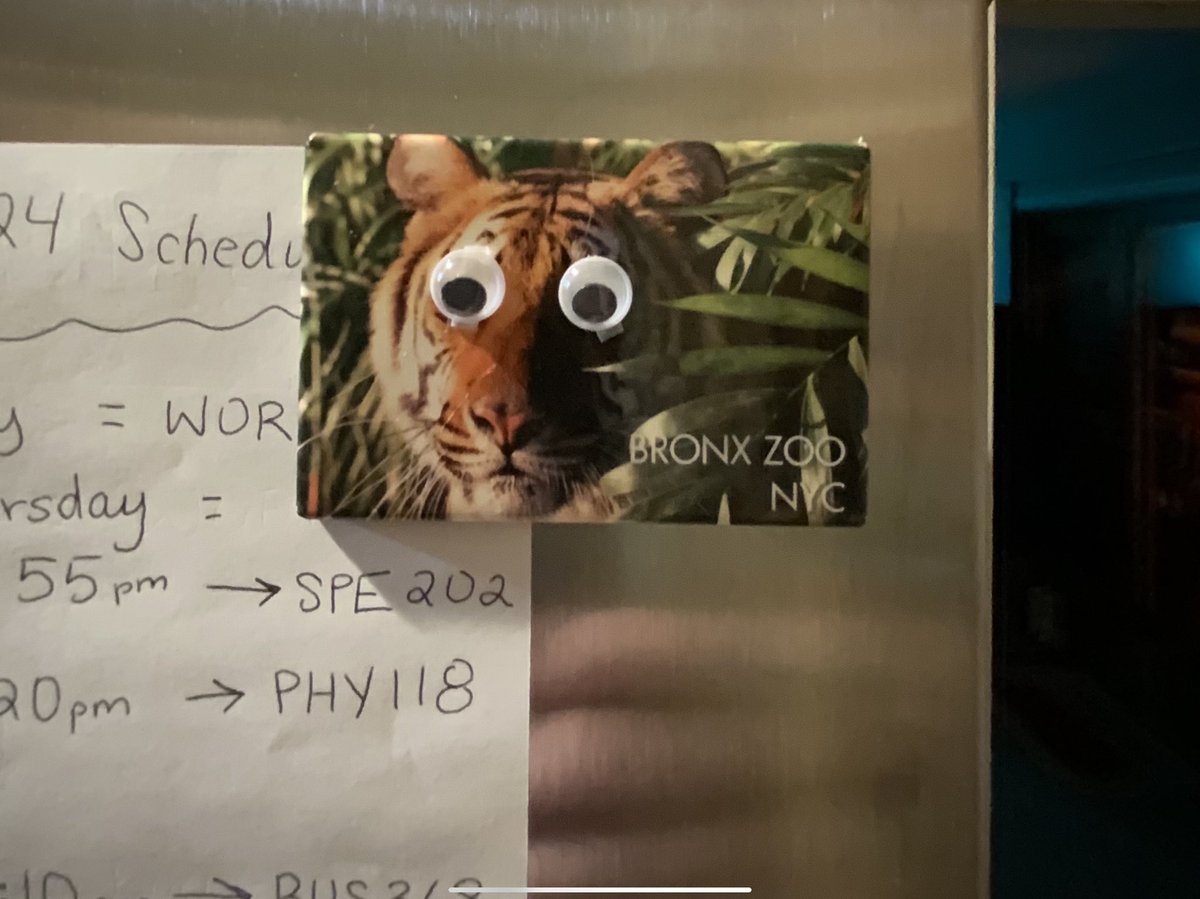 SapphireWolf17's tweet image. I created a EEAAO style prank around my house for April Fools before heading to my surgery.

There were just about 100 google eyes plastered around the house, nice fun harmless prank 

Waymond Wang, this prank is for you! #EverythingEverywhere 

Here’s some of the highlights…