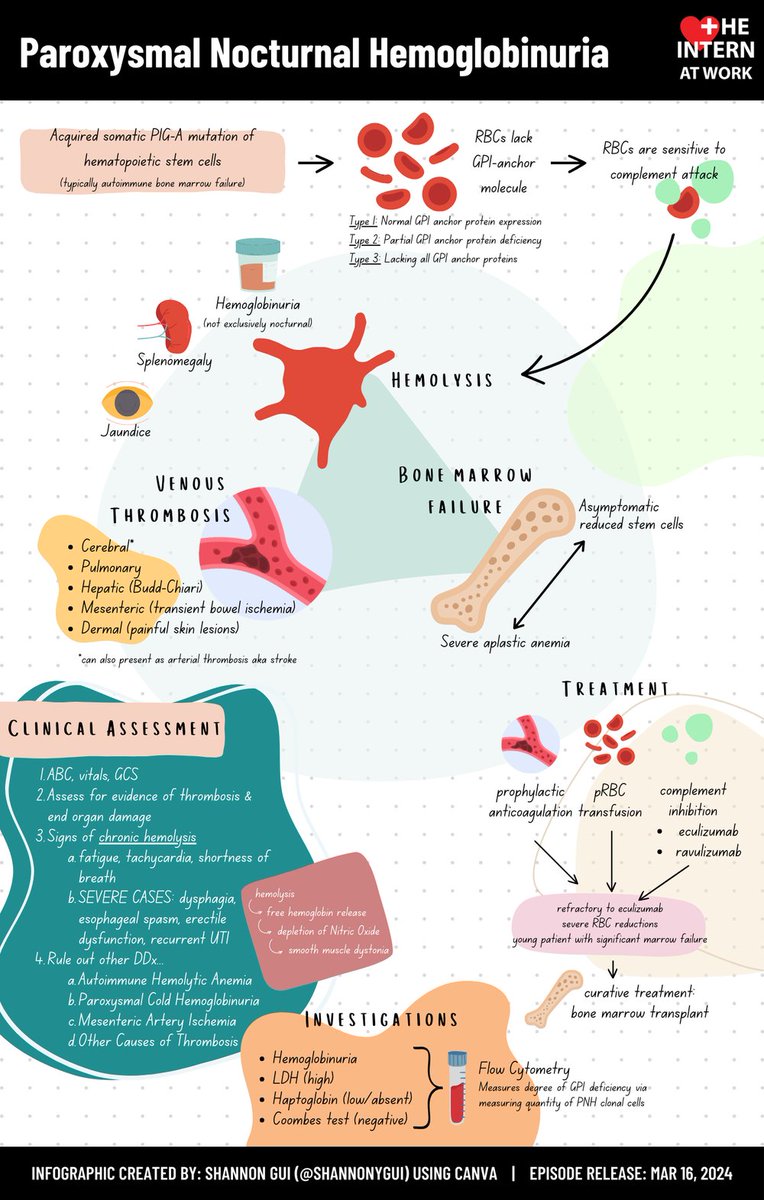 Ever wake up in the middle of the night with hemoglobinuria? You should get that checked out...👻 Tune into our pod to learn more about paroxysmal nocturnal hemoglobinuria (PNH)! Written by @AngelaHDong (IM) and reviewed by @dhamkohe (Heme) and @RupalShah09 (GIM). #MedTwitter