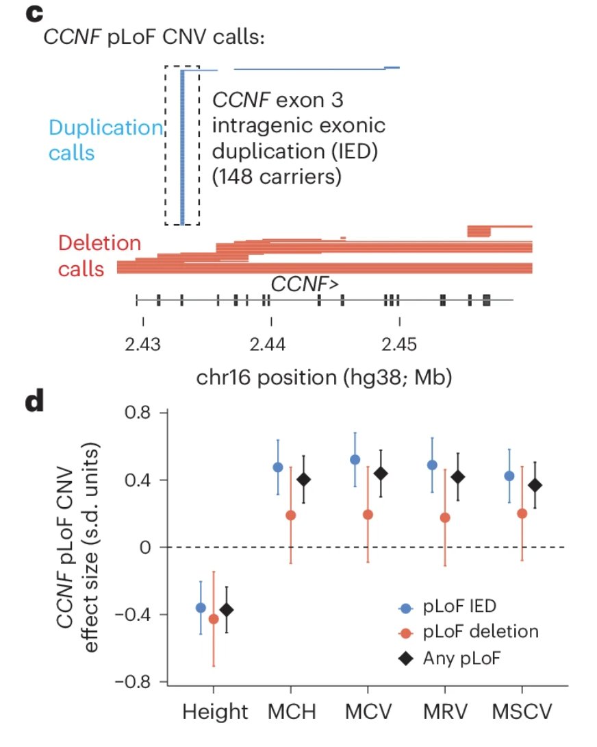 Veera Rajagopal  tweet media