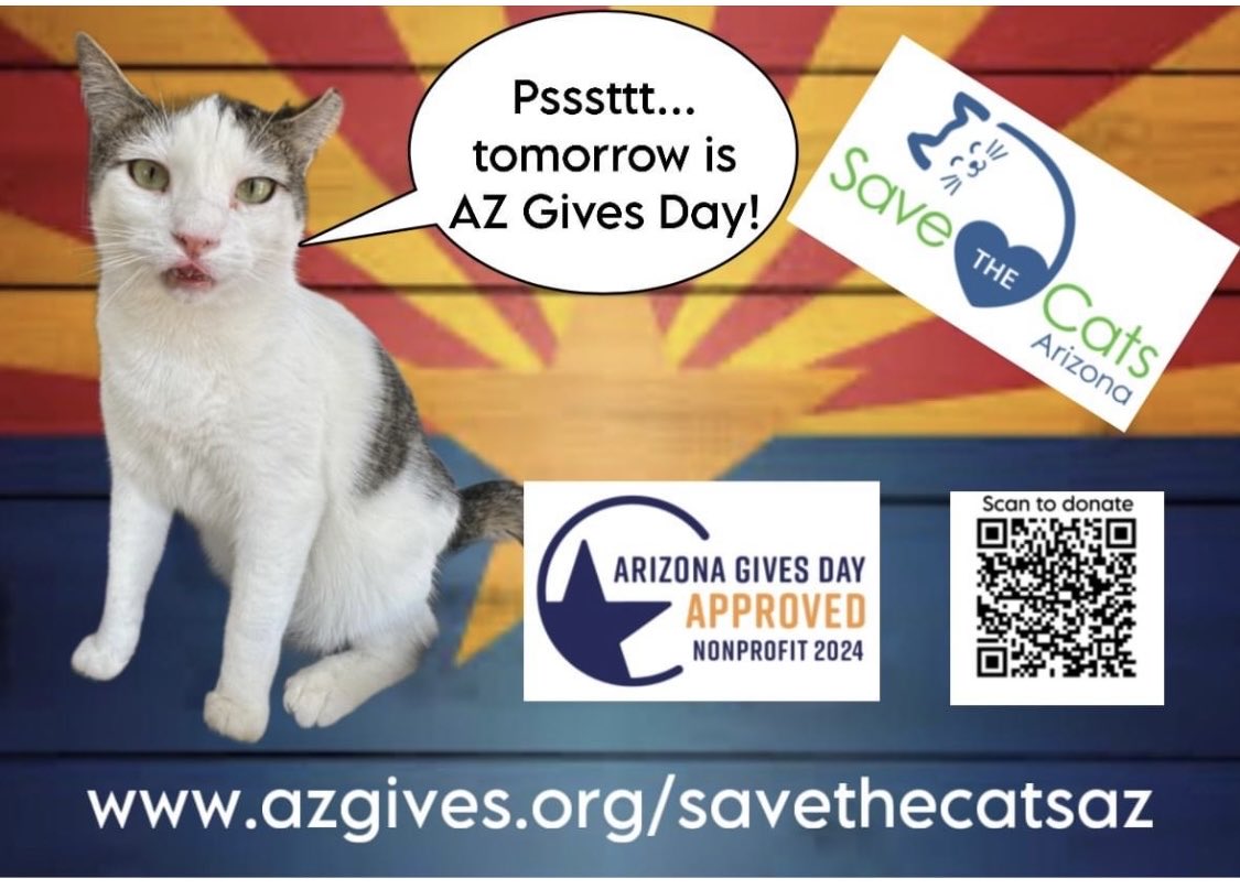 Can you help us continue our mission of saving #cats & #kittens in need? Like Maxwell here, saved from a warehouse & now calls the sanctuary his forever home! 🐾 Please click the link below or scan the QR code: azgives.org/savethecatsaz #CatsOfTwitter #Rescue #AZGivesDay #TNR