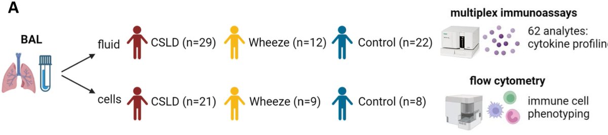 Melanie Neeland @melanie_neeland and colleagues apply #pulmonary immune profiling to understand childhood #wheeze and suppurative lung disease. mucosalimmunology.org/article/S1933-…