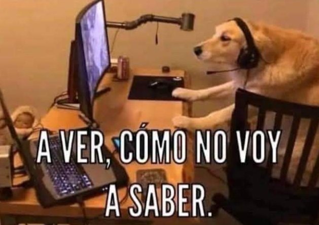 Figaredo 🛸 tweet media