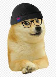 Doggle tweet media