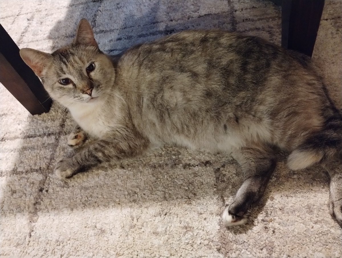 My pretty baby Murphy