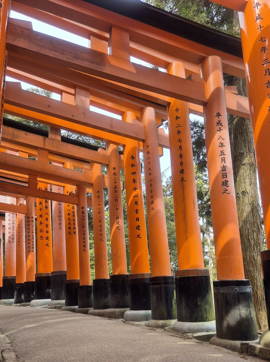 Torii gate ⛩️ Japan 🇯🇵
#happyapril