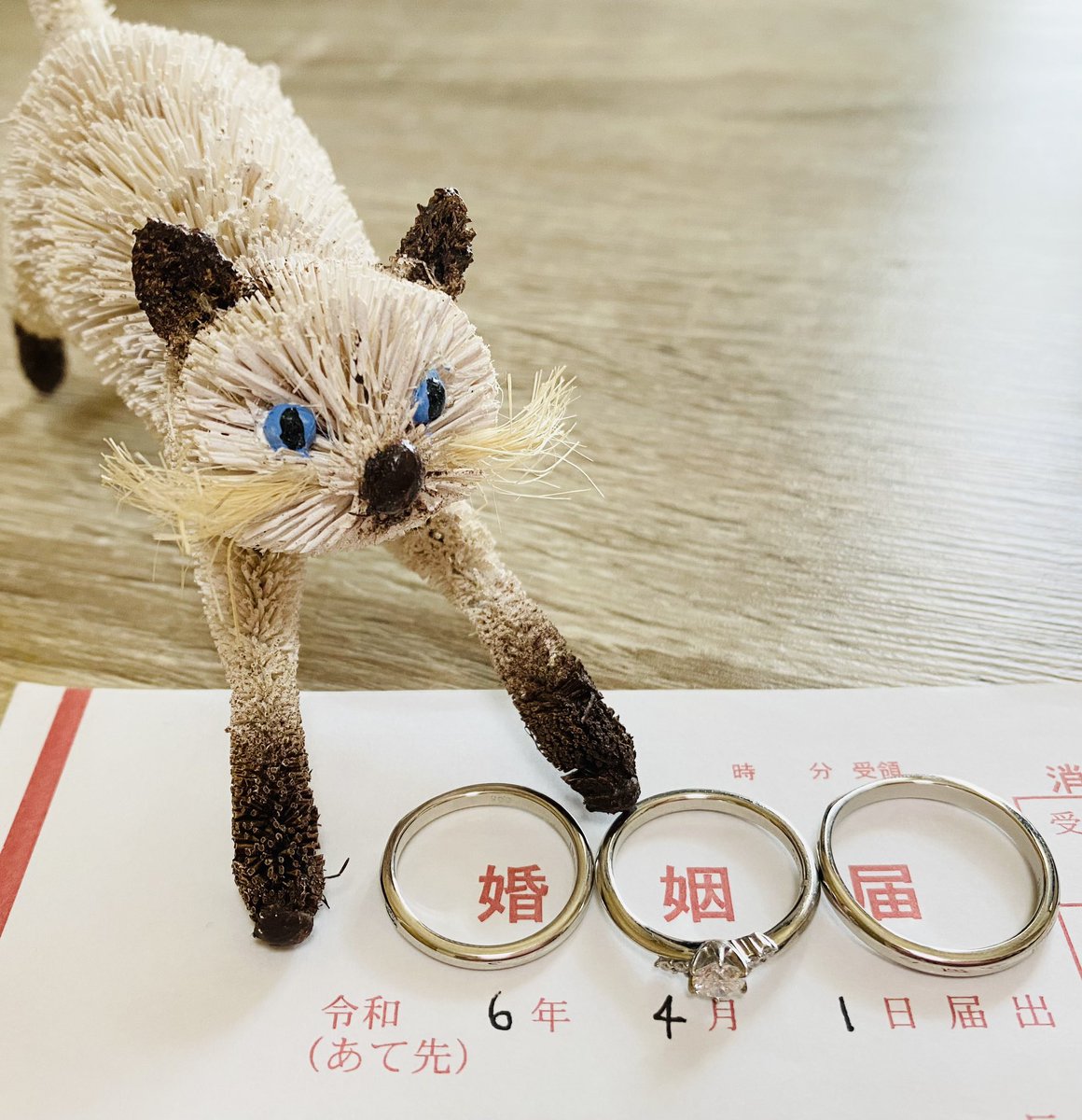 (も•́ω•̀ふ) tweet media