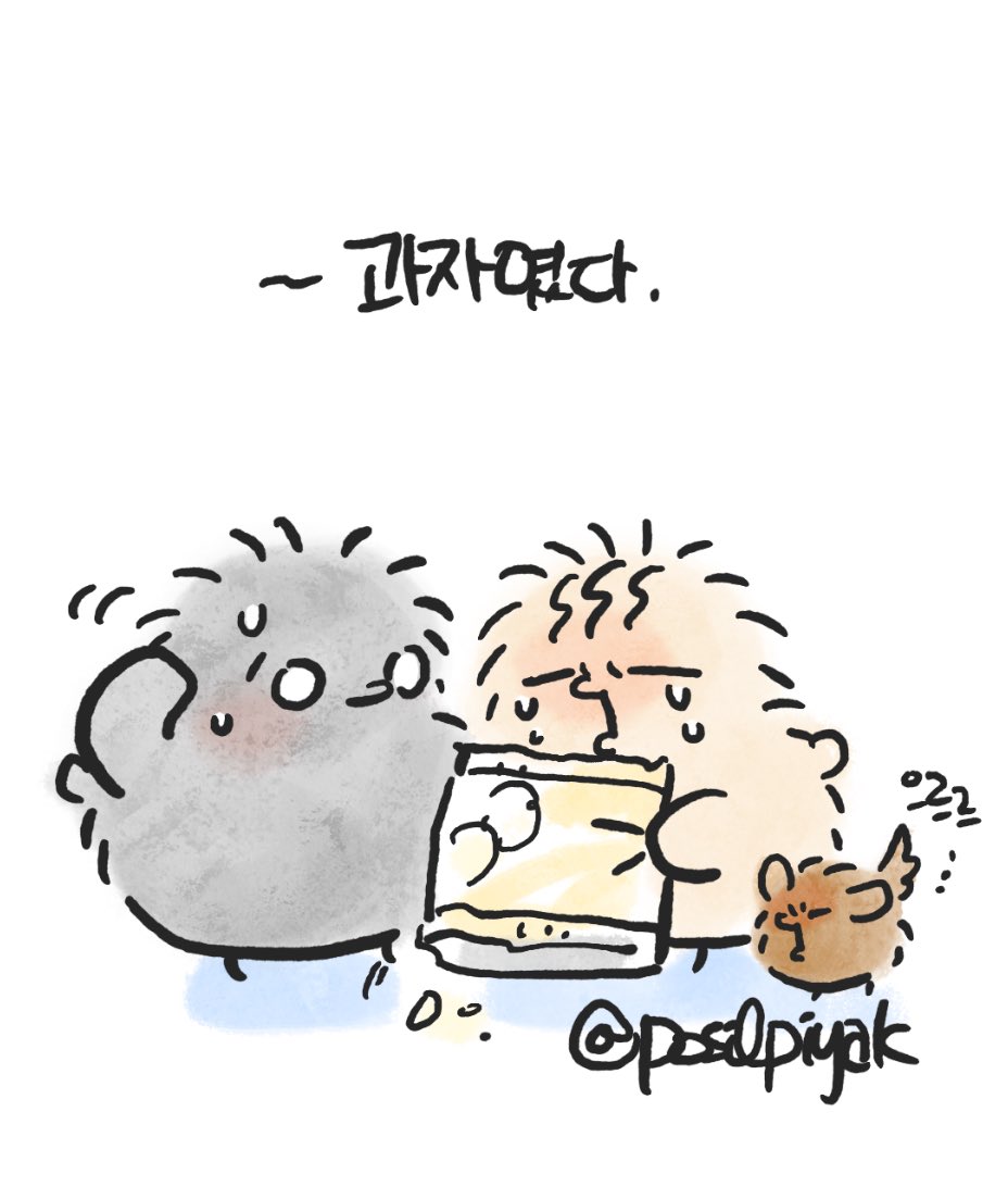 240402
목련 피는 계절의 삐약이들