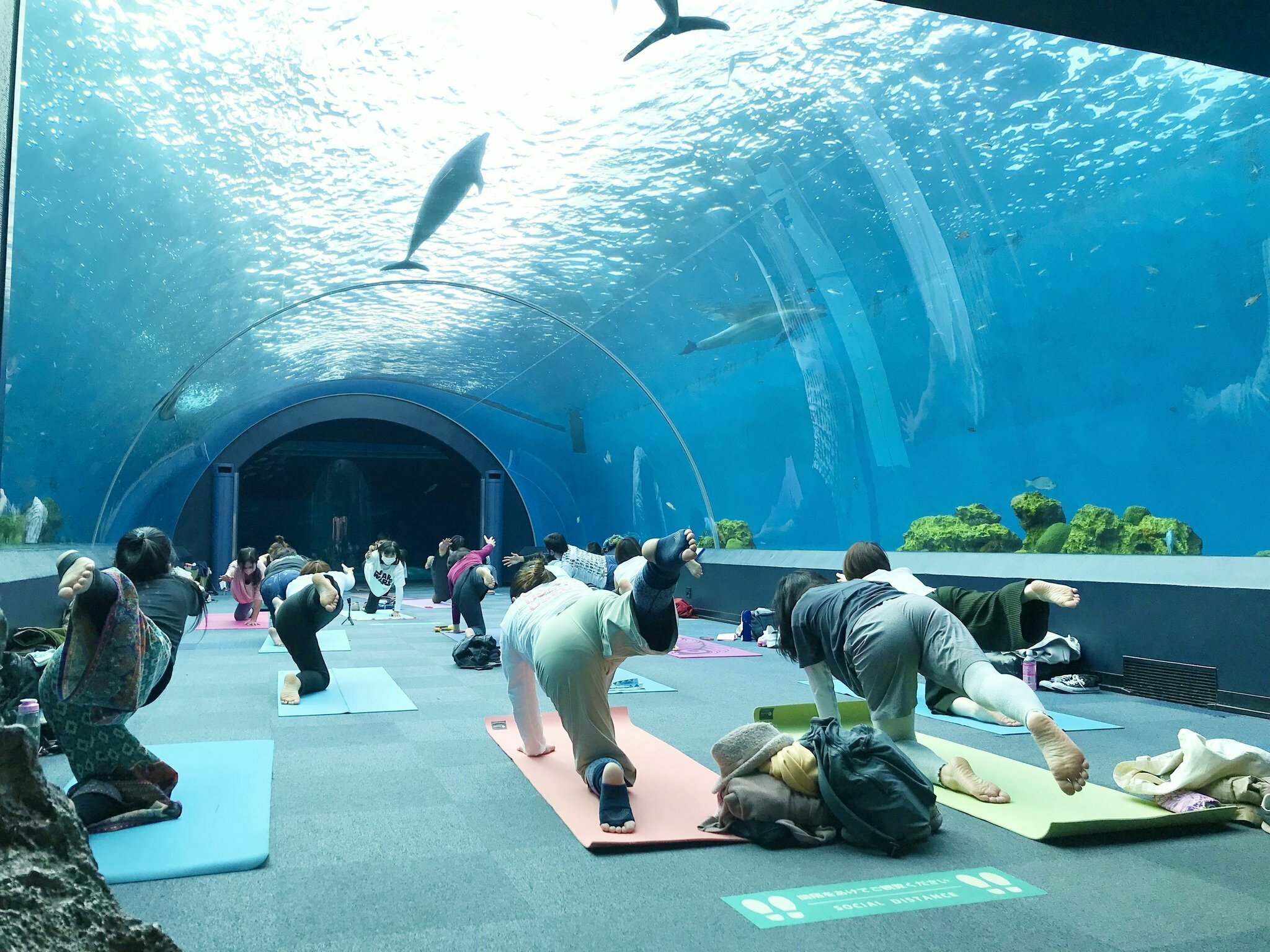 深海の王シャークパヨン　禁断の霊力を宿す秘宝　プラクルアン　フンパヨン 深海の王シャークパヨン 禁断の霊力を宿す秘宝 プラクルアン