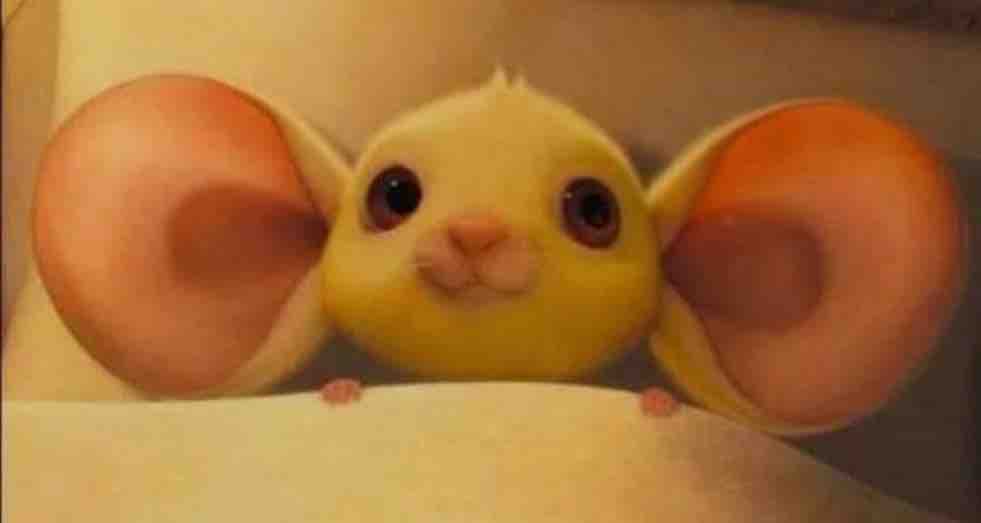 *Cuando hablamos del día que nos conocimos y me cuenta por qué se enamoró de mí*

Automáticamente yo: