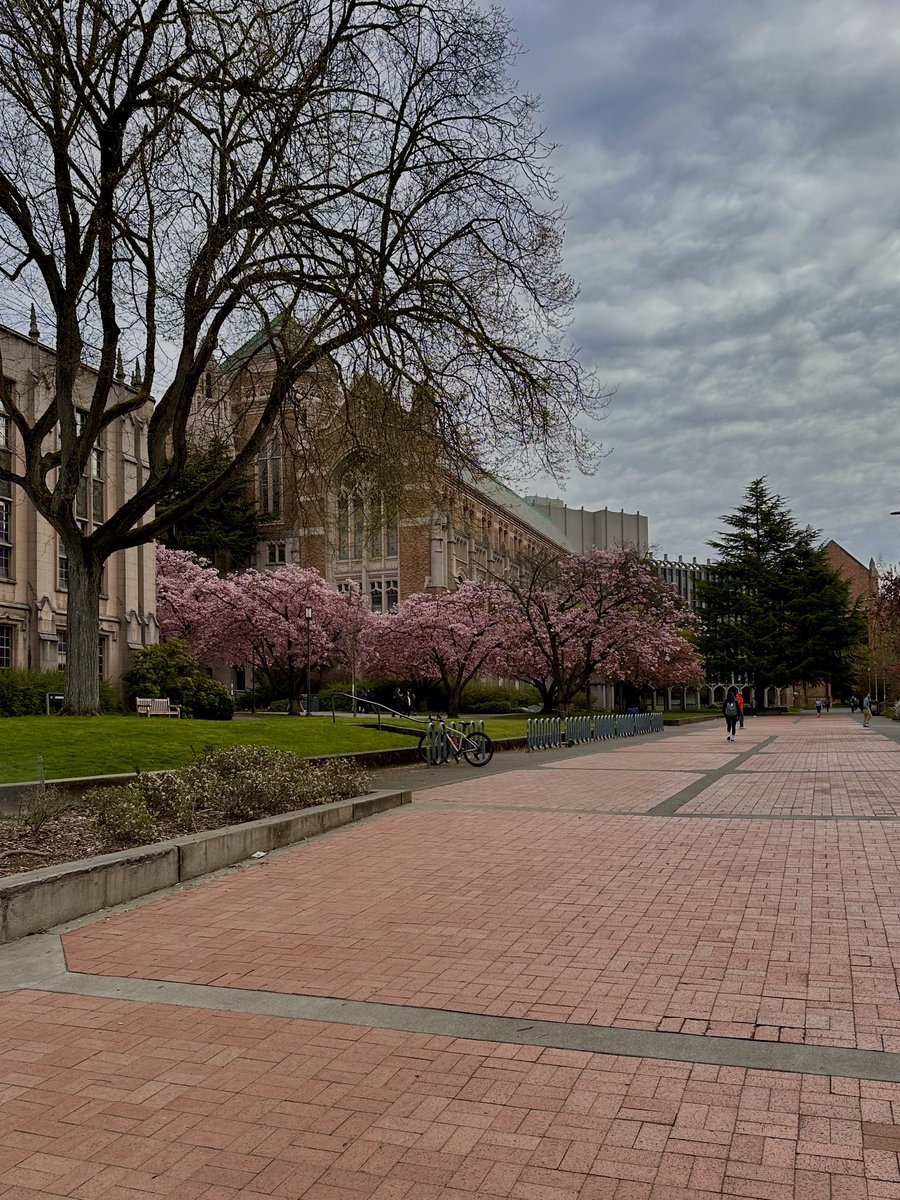 Nikta Fakhri tweet media