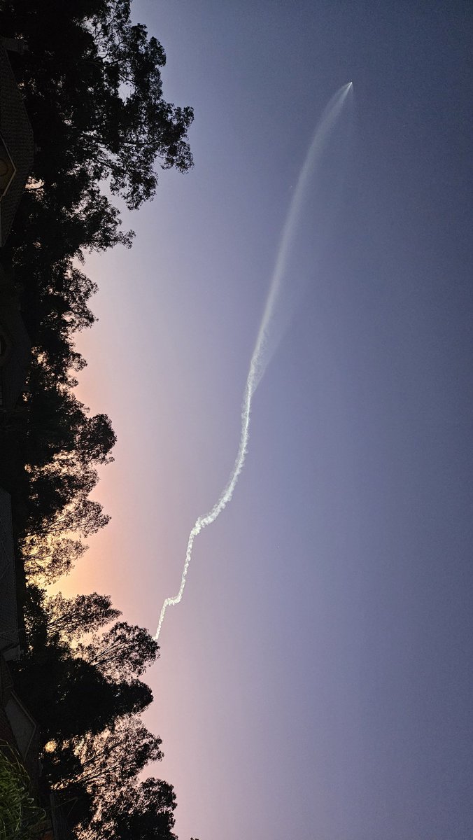 Susan 🍑 tweet media