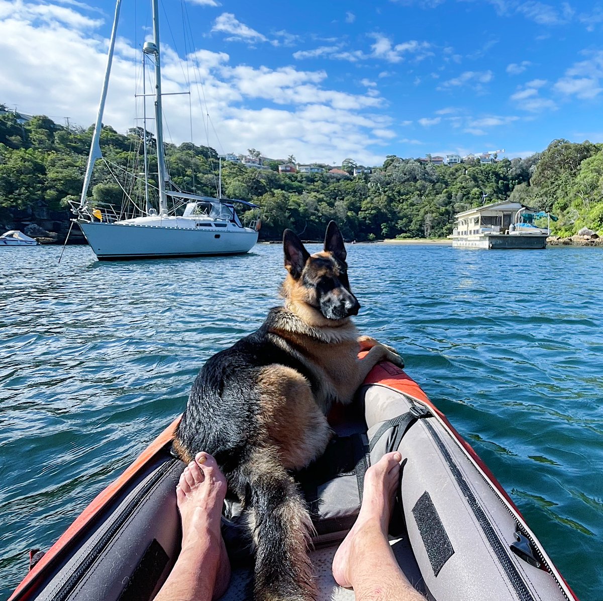 OzInflatabKayak's tweet photo. Dipping into tranquility.
📸 Marcel
🚣🏻 #AdvancedFrameConvertibleEliteKayak
.
.
.
#AdvancedElements #OzInflatableKayaks #Kayak #Kayaking #Cycling #Travel #Camping #KayakingAustralia #CyclingAustralia #CampingAustralia #Australia #Kayaker #exploremore #ilovetravel #travelshots https://t.co/Y3frrc03R9